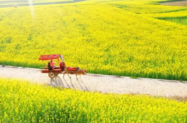 國內最美的35大美景,去過10個算及格,你去過幾個? 國內最美的35大美景,去過10個算及格,你去過幾個?