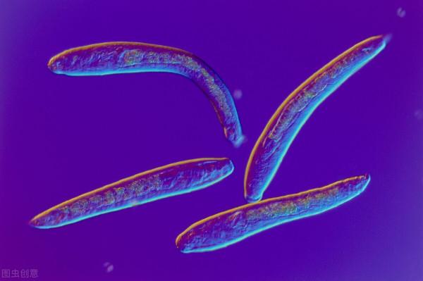 肝臟好不好，眼睛早知道？眼白出現這幾種顏色，該注意了