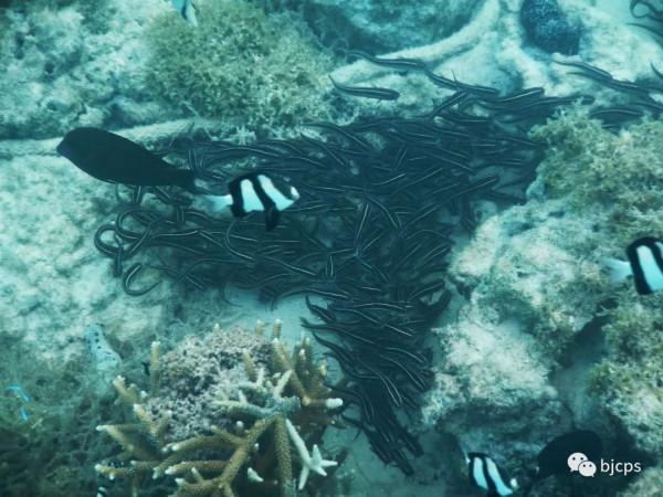 塞班島:為什麼美國唯一把這塊國土對中國人免籤? 塞班島:為什麼美國唯一把這塊國土對中國人免籤?