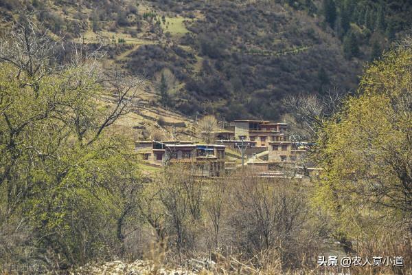 貧困戶易地搬遷之後,老家的房子會被怎麼樣處理呢?你知道嗎? 貧困戶易地搬遷之後,老家的房子會被怎麼樣處理呢?你知道嗎?