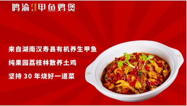 吃貨福音，鳴渝甲魚雞煲越吃越上癮堪稱撫凡人心的美食