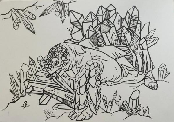 如何給古生物畫上正確的顏色 如何給古生物畫上正確的顏色