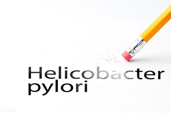 修復胃黏膜、提高根除率，4種抗幽門螺桿菌的中成藥，您要知道