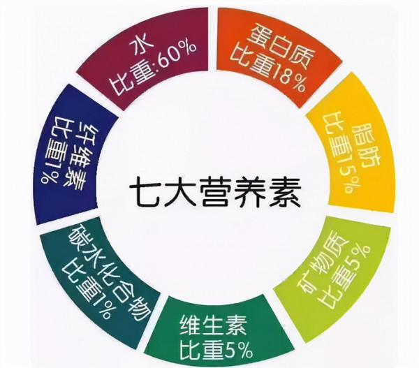 維生素缺乏症一覽表,看看自己缺什麼,不妨瞭解一下,建議收藏 維生素缺乏症一覽表,看看自己缺什麼,不妨瞭解一下,建議收藏