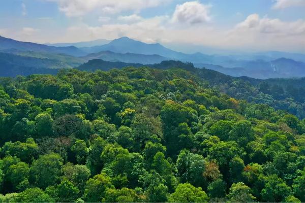 不讓吃肉也不讓用筷子，排核廢水卻裝瞎，誰在撐腰“環保女孩”？