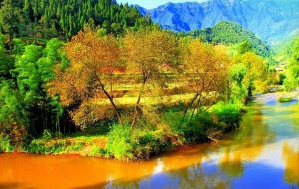 打卡第七十八天 清水辟穀減肥第七十一天