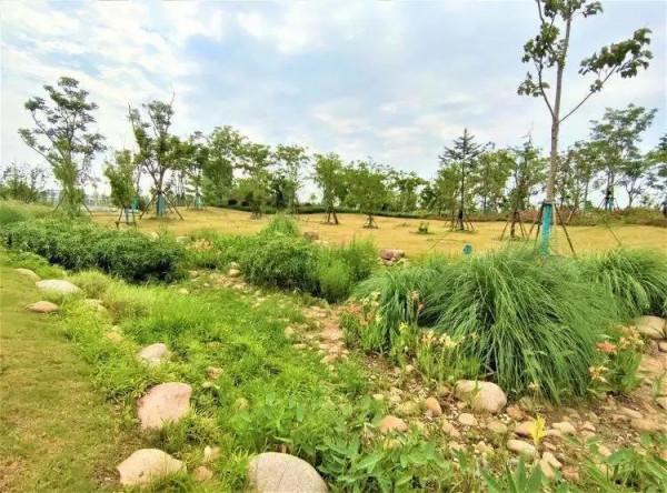 大美臨港丨聽人鯨傳奇、看海天一色、望璀璨星空……這樣的生態寶地，你嚮往嗎？