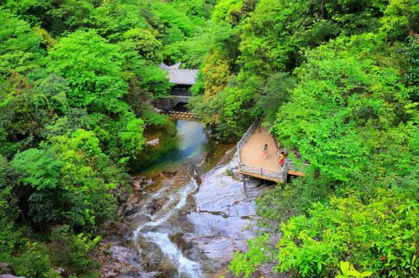 浙江第一名山,素稱“三江之源”,遊客都說:景色不輸華山黃山 浙江第一名山,素稱“三江之源”,遊客都說:景色不輸華山黃山