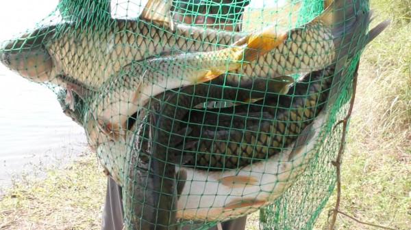 淺談野釣水底地形，這幾種就是能藏魚和聚魚