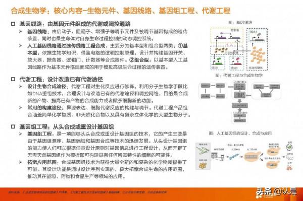 合成生物學產業研究：未來已來，開啟“造物”時代