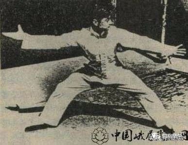 練習內家拳勁力的一些知識