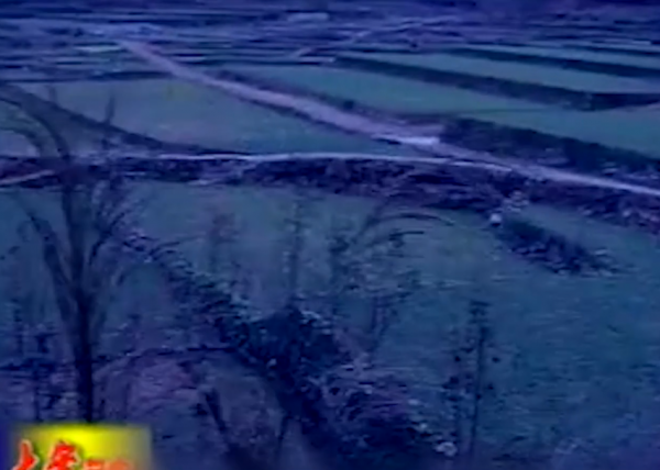 1992年，為傳宗接代夫妻倆找村裡人“幫忙”，6年後丈夫離奇身亡