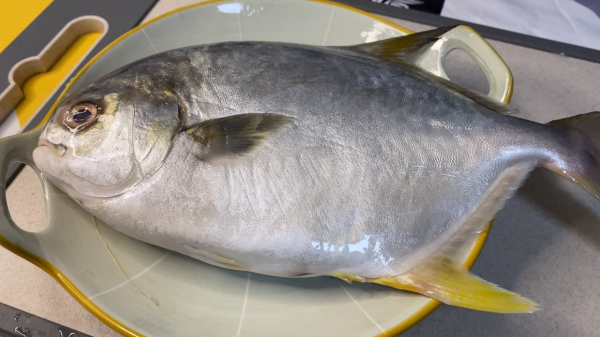 鯧魚不會燒?20年廚師教你做,鮮甜味美,簡單還易學 鯧魚不會燒?20年廚師教你做,鮮甜味美,簡單還易學