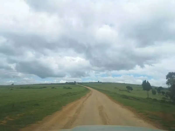 一個駐外女生和馬賽人的故事