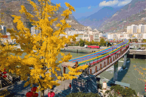 絕美！銀杏盡染無憂城，只看一眼就“淪陷”