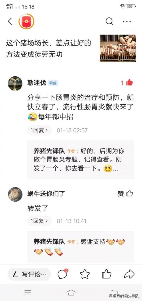 母豬胎衣不下，這樣處置萬無一失