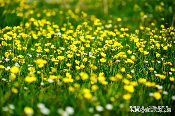 這裡是新疆|全畫幅美景(2) 這裡是新疆|全畫幅美景(2)