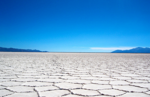 地球正在變綠？原因在中國和印度，專家卻對印度的“綠”十分擔憂
