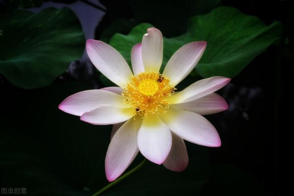 人生有一種內在動力，不是名利，不是金錢驅使，而是文化