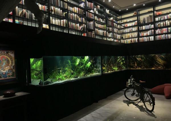 “鬼才之眼”王昱珩一戰成名三戰封神,助警察成功破案,如今咋樣 “鬼才之眼”王昱珩一戰成名三戰封神,助警察成功破案,如今咋樣