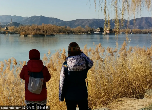 2021的最後這16天，這16件事超值得做！