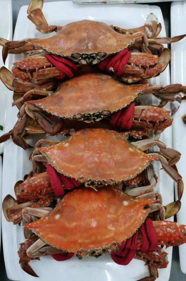 軍營食堂上新！這次第71集團軍“中野虎師”又饞到人了