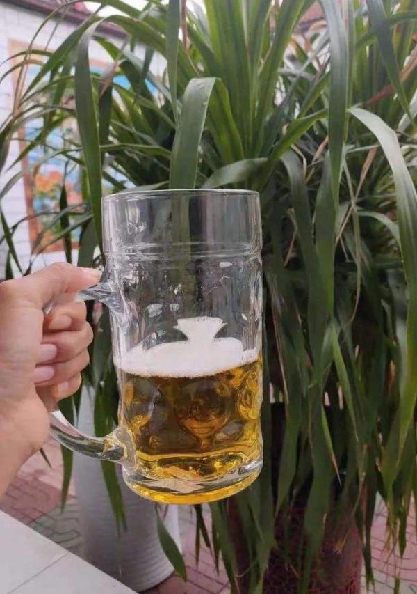 &OpenCurlyDoubleQuote;啤酒&rdquo;怎麼養花？做好一點，葉子&OpenCurlyDoubleQuote;又大又綠&rdquo;，花色嬌豔開不停