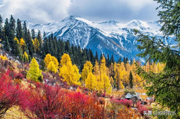 秋天的第一場旅行，你可以去這6個地方。一入秋，他們就變色了…