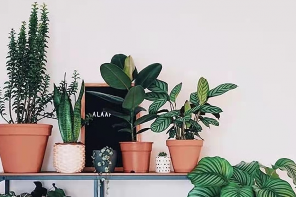 清新幹淨的ins風，讓你的家更高階