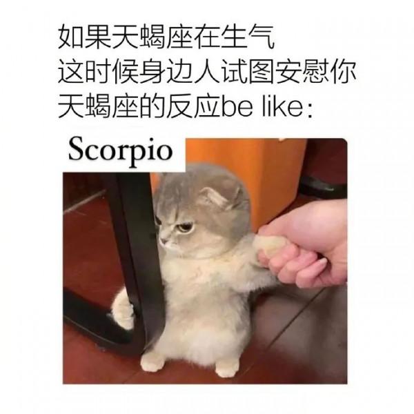 （星梗）星座meme合集1&period;25-2&period;18