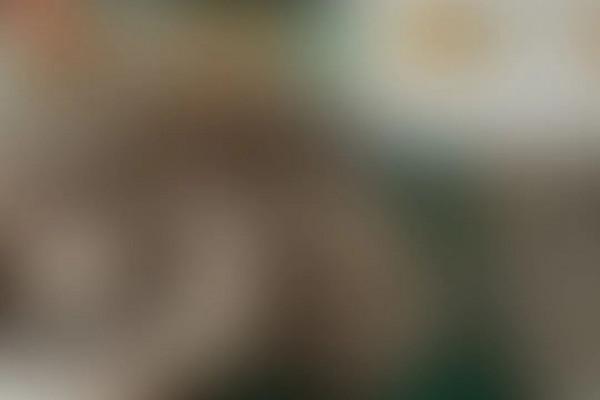 全國秋天神仙菜市場大賞 全國秋天神仙菜市場大賞