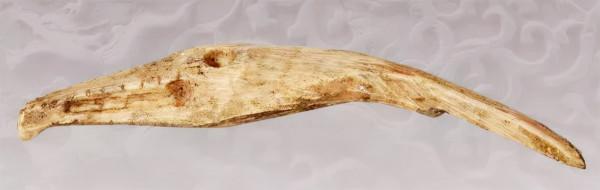 萬鷹之神——海東青 萬鷹之神——海東青