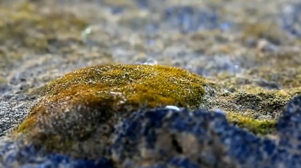 沙漠有救了!胡八一真人版穿越死亡沙海,找到沙漠終極與治沙魔方 沙漠有救了!胡八一真人版穿越死亡沙海,找到沙漠終極與治沙魔方