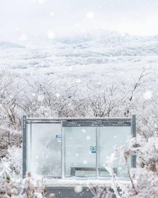 50張圖片展示出韓國不一樣的一面