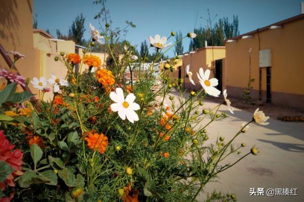 新疆遊記｜喀什博物館裡的老物件：玉燈、瓷盆、薩帕伊、明約勒碑