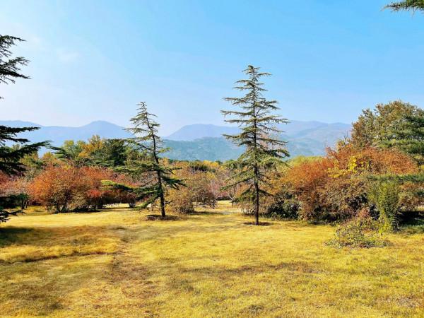 陪讀第61天(2021.10.31)