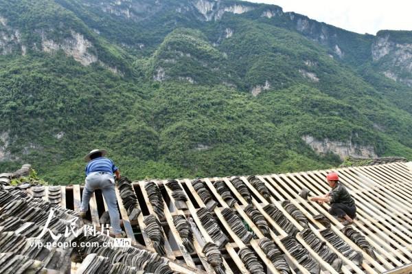 重慶酉陽：修繕古建築 傳承歷史文脈