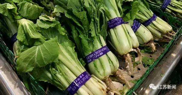 【網路闢謠】這些關於食品的謠言，以後千萬別信了！