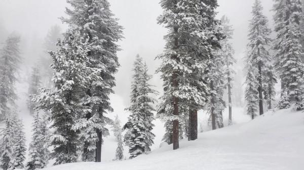 TAHOE 塔霍湖 滑雪季