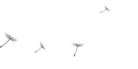 一到冬天，蚊子都藏到哪去了？今天就偷偷告訴你