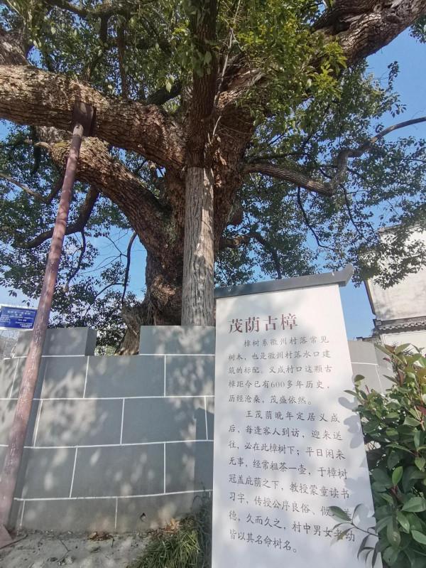 拜讀宰相故里——雄村