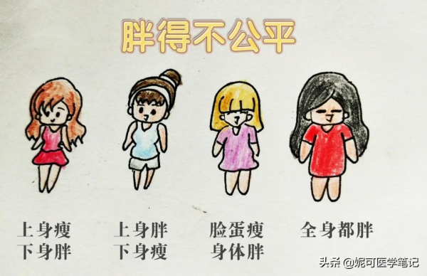 瘦身塑形第一步：如何科學有效瘦身飲食？