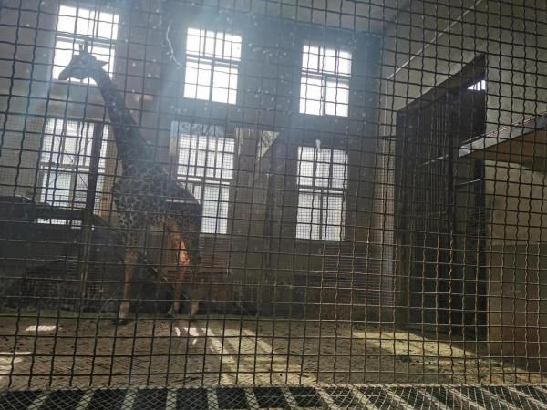 動物園裡那些瞬間