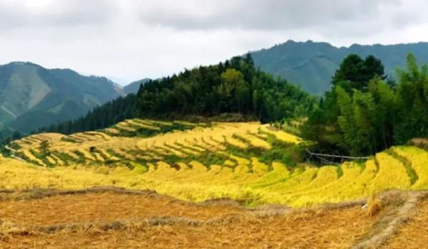 廣東絕美的秋色,都藏在了這4個小眾景點裡 廣東絕美的秋色,都藏在了這4個小眾景點裡