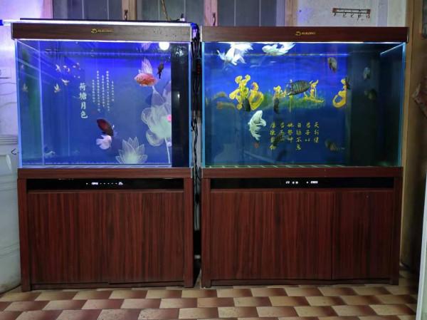 治理魚缸中的蛋白蟲，水蚤等小生物，如何選擇合適的小魚吃掉？