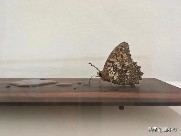 創造栩栩如生的木雕昆蟲