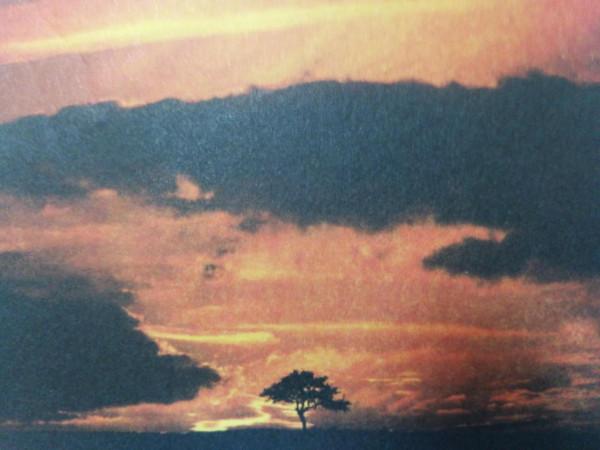 世界未解之謎之“天火” 世界未解之謎之“天火”