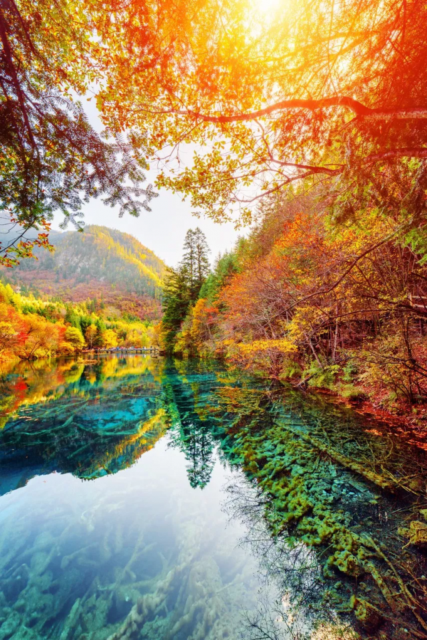 秋天的九寨溝，美成了童話仙境