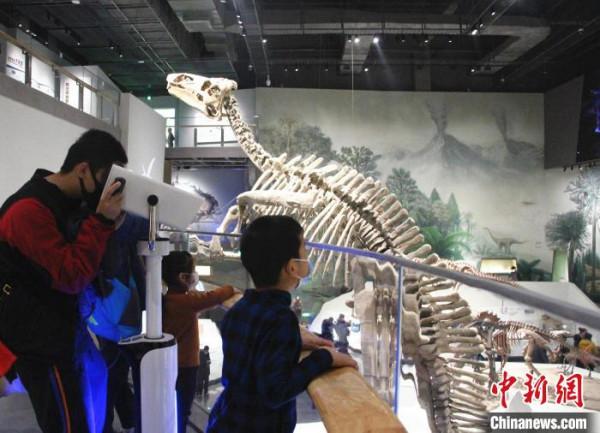 山東白堊紀恐龍展開展&OpenCurlyDoubleQuote;巨型山東龍&rdquo;亮相