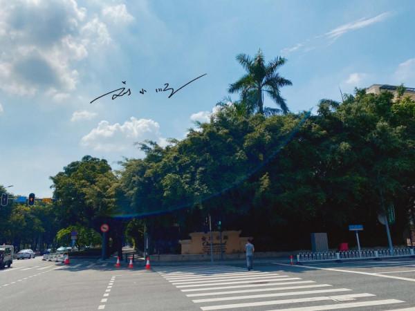 廣州市中心的“富人島”,就在珠江中間,遊客卻說:名字不太好聽 廣州市中心的“富人島”,就在珠江中間,遊客卻說:名字不太好聽